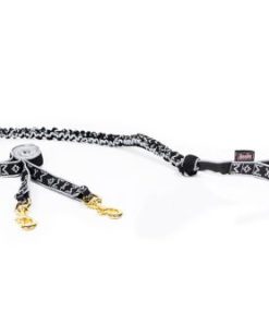 Draglina 2 Hundar Silver