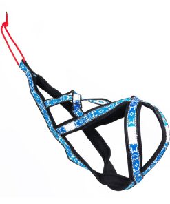 Nomesele Ljusblå Reflex