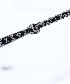 Alternative view of Draglina Canicross Silver