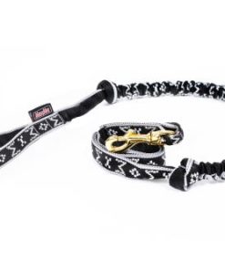 Draglina Canicross Silver