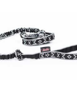 Expanderkoppel Silver