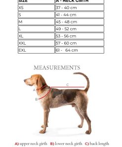 Alternative view of Vadderad sele - Tricolor
