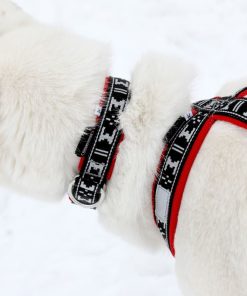 Alternative view of Manmat - Dragsele Run Long  Röd