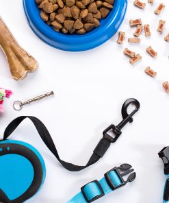 HUND - Alla kategorier